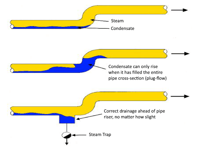steam-drainage