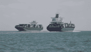 What are Container Carrier Alliances?
